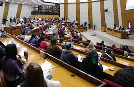 Audiencia Pública sobre el proyecto de ley que "Crea el Ministerio de la Familia".