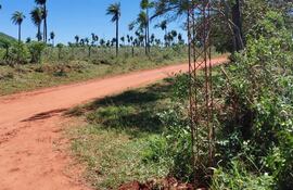 Camino vecinal de la compañía Cerro Pé, que lleva el nombre del exconcejal liberal Cándido Eligio Benítez Torales (+).