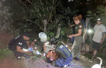 Violenta agresión deja a un hombre con grave traumatismo de cráneo en Villa Elisa.