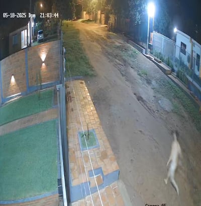 Imágenes captadas por cámaras de seguridad muestran al que sería el mototaxista corriendo desnudo por las calles de Caacupé, hasta que finalmente trepó un muralla y entró a un patio. Luego, denunció que fue víctima de un asalto.
