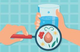 El agua potable y las enfermedades hídricas.