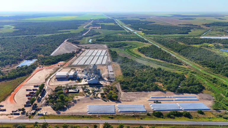 Eladia SAE alcanza 110.000 toneladas de arroz en 11.700 hA
