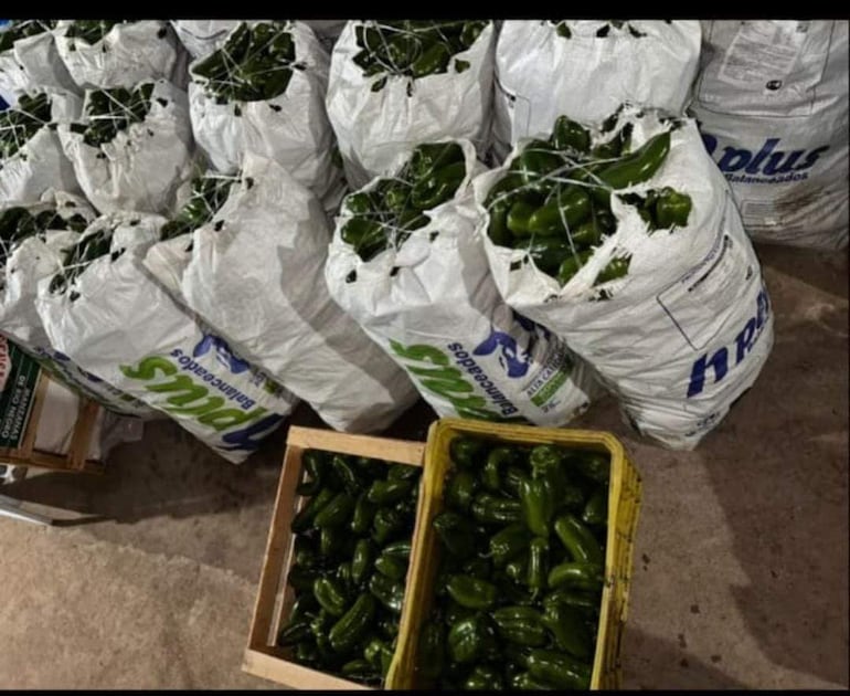 Producción de locotes rescatados ante la creciente del río Paraná.
