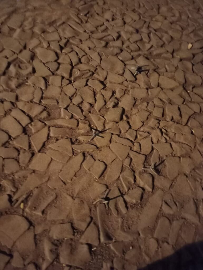 Ataque a banco de Katueté