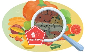 Cuidando el planeta de las sustancias químicas peligrosas