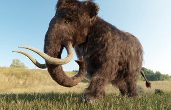Mamut lanudo, imagen ilustrativa.