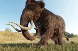 Mamut lanudo, imagen ilustrativa.