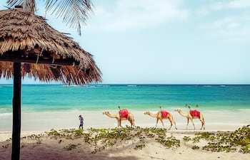 Zanzíbar, Tanzania,