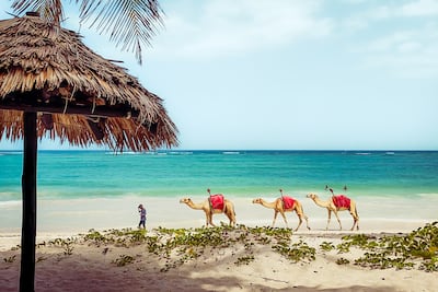 Zanzíbar, Tanzania,