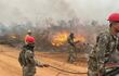 Imagen del combate a los incendios forestales en la zona de Cerro Chovoreca. Trabajan en el lugar personal del III Cuerpo del Ejército y la 6ª División de Infantería en apoyo a los Bomberos y la Brigada Forestal de la SEN.
