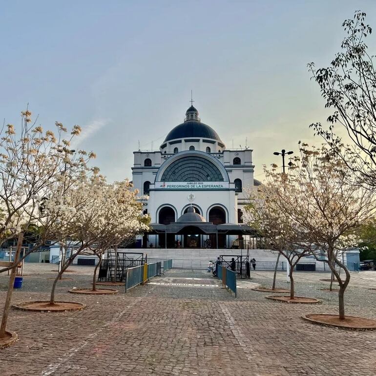 Los lapachos, con sus intensas flores realzan la belleza de la Basílica de Caacupé y le otorgan un marco natural único.
