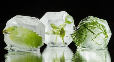 Imagen ilustrativa de como quedan congeladas las plantas con el agua y las bajas temperaturas.