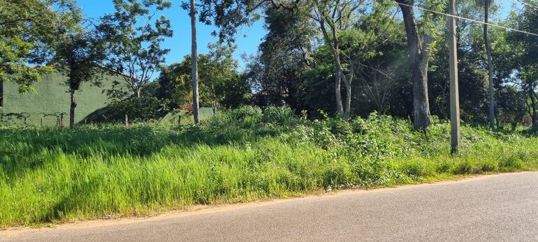 Valdio en estado de abandono.