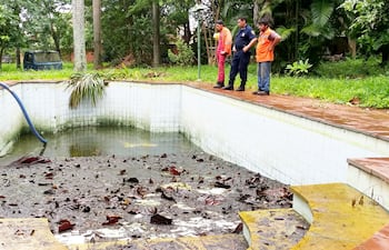 La piscina de gran dimensión de la propiedad estaba llena de agua sucia, con sapos, ranas, y todo tipo de desechos. Había también otros reservorios con criaderos.