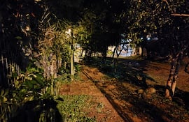 Los vecinos afectados de Areguá piden reposición del foco de un alumbrado público.