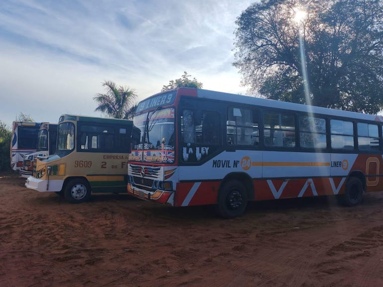 Autobuses de la Empresa 2 de Febrero y Línea 9 estacionados en área llena de vegetación, sin personas visibles.