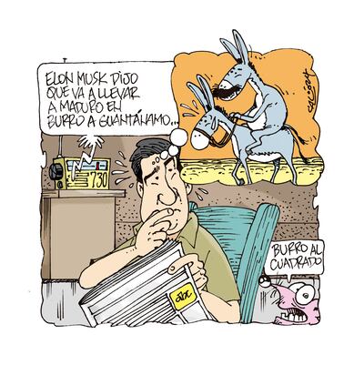 EN BURRO