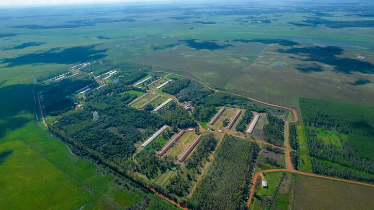 Detrás de cada pollo PECHUGON existe un proceso que comienza mucho antes de llegar a la mesa de las familias paraguayas.