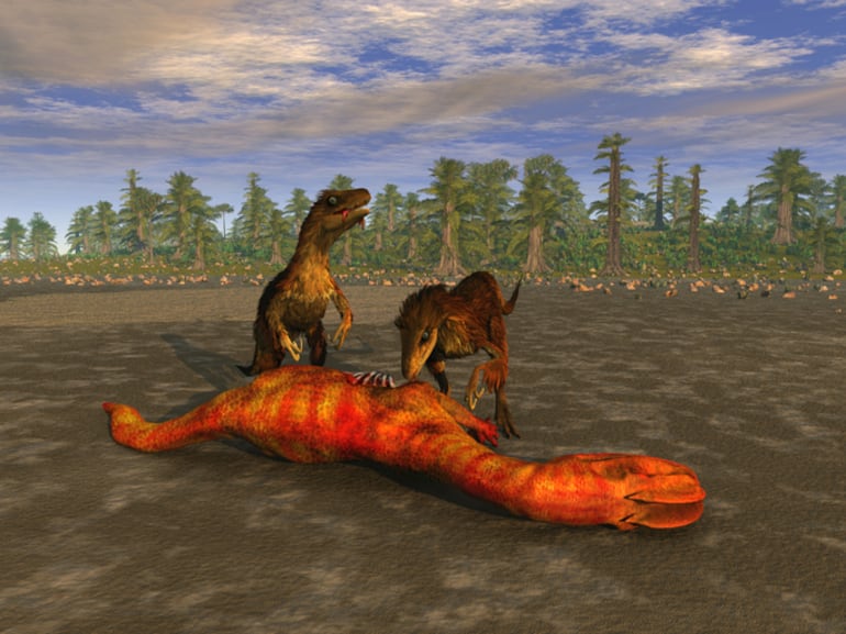 Velociraptores comen una presa.