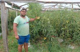 El productor Carlos Escobar mostrando sus tomates para la última cosecha de la zafra 2025-2026.