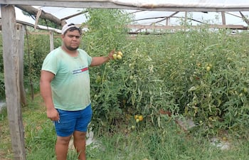 El productor Carlos Escobar mostrando sus tomates para la última cosecha de la zafra 2025-2026.