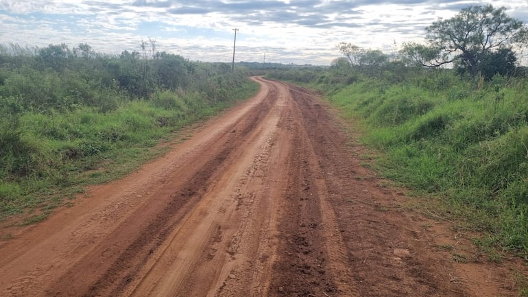 Camino de tierra serpenteante rodeado de densa vegetación, cielo parcialmente nublado, sin personas presentes.