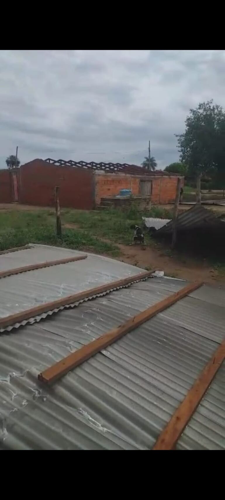 Así quedó la chapa que cubría el techo de la escuela indígena en Puerto Pinasco, hacia fines de setiembre.