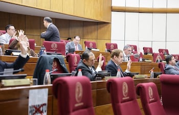 Sesión del Senado. Foto Gentileza.