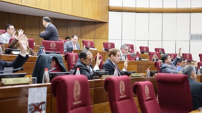 Sesión del Senado. Foto Gentileza.