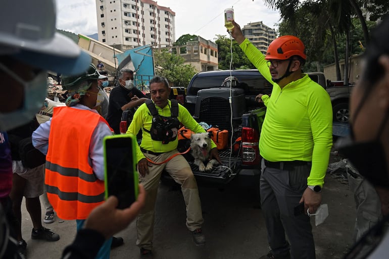 El perro de rescate llamado “Tsunami” recibe hidratación tras largas horas de trabajo en Caraballeda, estado de La Guaira, Venezuela, el 28 de junio de 2026, tras los terremotos gemelos.