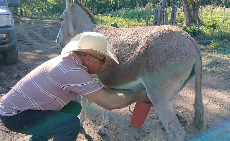 Actualmente comercializa el litro a G. 100.000 y produce alrededor de cuatro litros diarios.