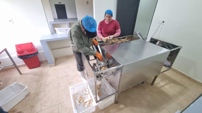 Dos mujeres con gorros y guantes azules, una opera una máquina de procesamiento y la otra sostiene trozos de mandioca.