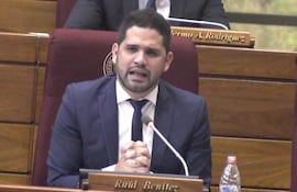 Diputado Raúl Benítez (Independiente).