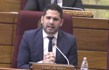 Diputado Raúl Benítez (Independiente).