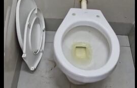 Se han producido varios daños a la infraestructura de la Costanera Sur, principalmente en los sanitarios.