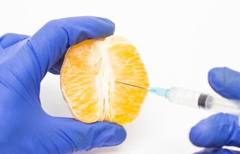 Concepto de labioplastia, cirugía.