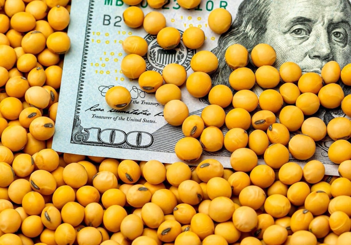 Cotización del dólar: Equipo Económico convoca a gremios para analizar impactos
