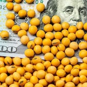 La cotización de la divisa estadounidense repuntó en promedio 20 puntos este miércoles