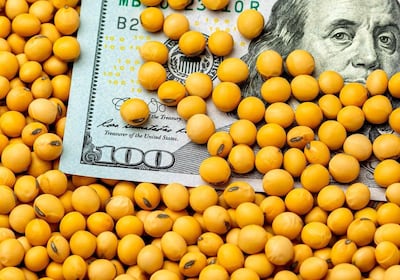 Las exportaciones de soja crecieron 45%.