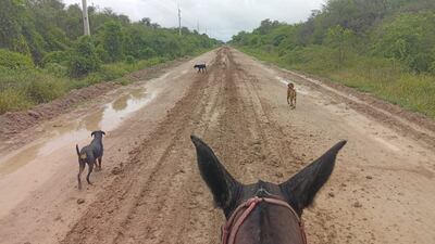 Con una lluvia de 100 mm, el camino de entrada a los distritos de Bahía Negra y Fuerte Olimpo, quedarán inundados y con ello el aislamiento de los pobladores.