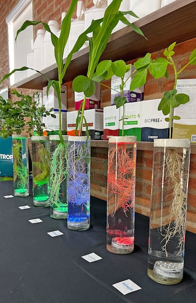 Biológicos salen del nicho y ganan terreno