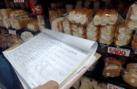 El crecimiento económico del 6%, una inflación “controlada” alineada a la meta, son cifras muy lindas para la foto, pero hay cierta desconexión con la realidad reflexionó el economista y ex ministro Manuel Ferreira.