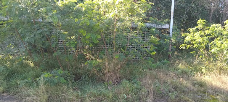 Parque de la Solidaridad