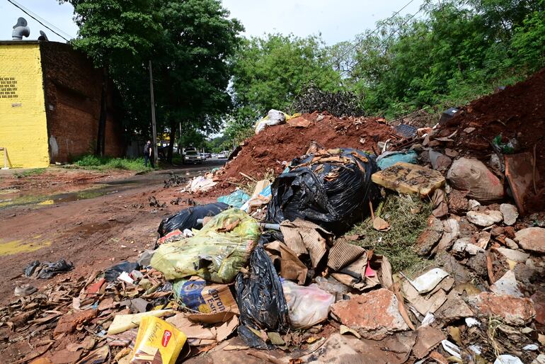 El insecto transmisor solo necesita materia en descomposición para reproducirse. 