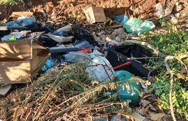 La basura ocupa toda la vereda y genera insalubridad en la zona.