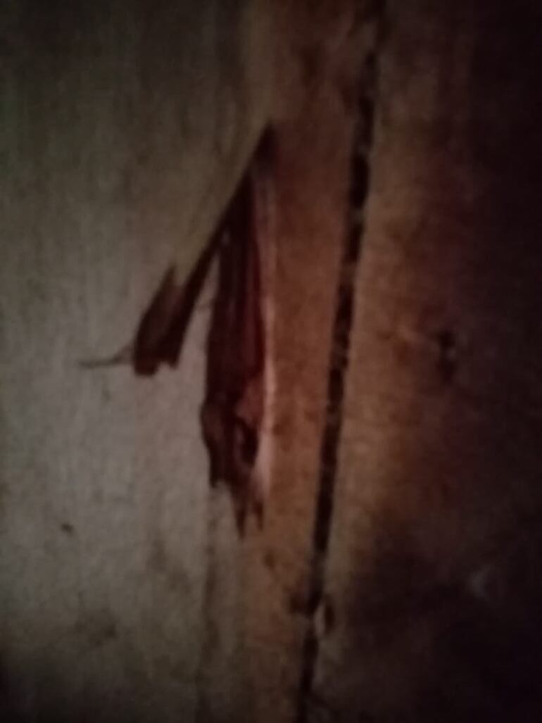 Los disparos dañaron varias paredes y puertas de la estancia atacada.