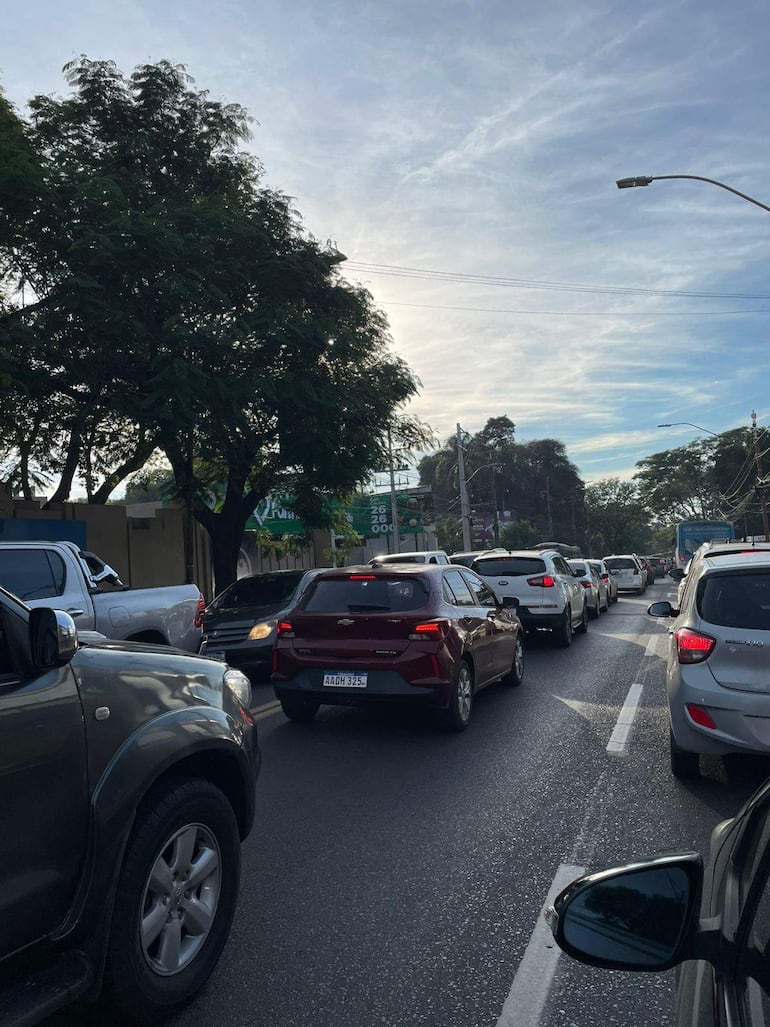 Varios vehículos en fila en carretera urbana, predominan SUV y sedanes, con cielo claro y árboles al fondo.