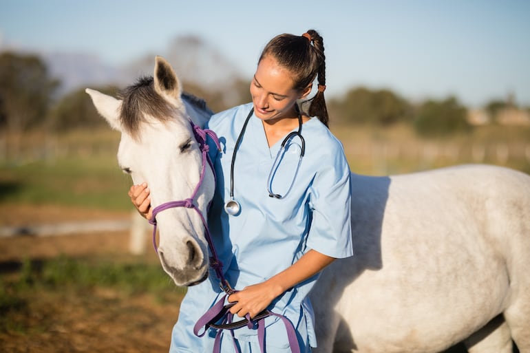 Veterinaria y un caballo.