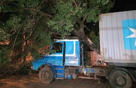 Camión derribó árbol y cables de la ANDE tras maniobra evasiva en San Lorenzo