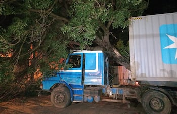 Camión derribó árbol y cables de la ANDE tras maniobra evasiva en San Lorenzo